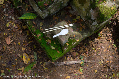 Spoon and Chopsticks